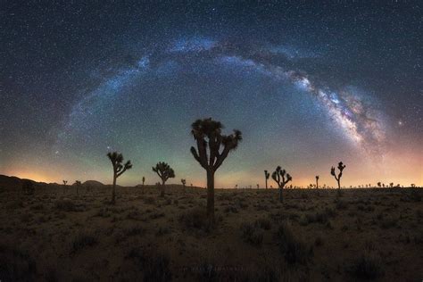 Joshua Tree Milky Way Panorama - Michael Shainblum Photography