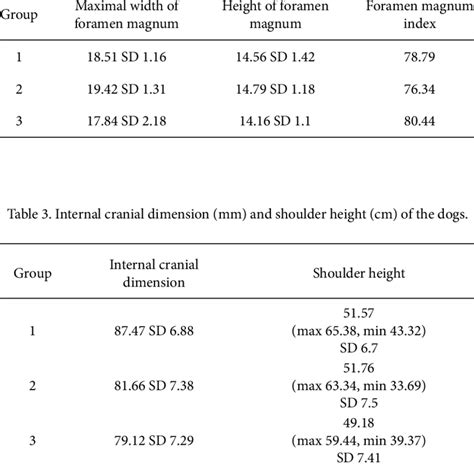 Measurements of foramen magnum (mm) and foramen magnum index ...