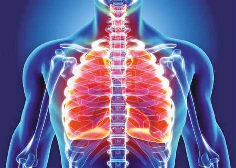 Chronic Bronchitis and its association with COPD and smoking - Hospital Professional News