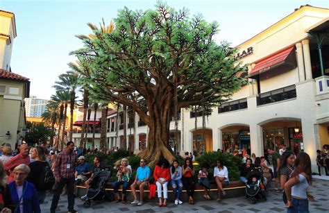 The Wishing Tree at Rosemary Square will be lit at 6pm today! #ilovewpb ...