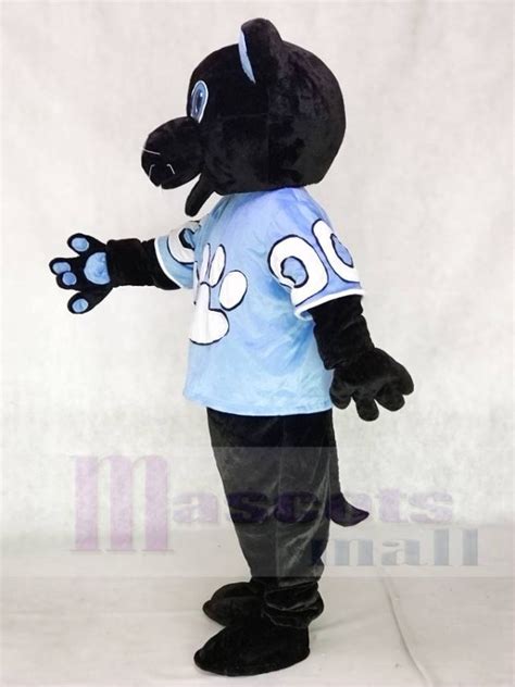 Sir Purr of the Carolina Panthers Mascot Costume from National Football ...