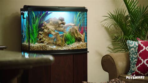 Top Fin 40 Gallon Hooded Aquarium Black - Aquarium Views