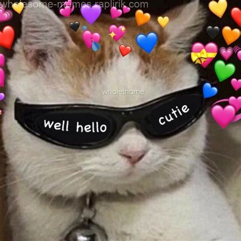 Pinterest xxcrystalised//♡ | Cute cat memes, Cute love memes, Cute memes