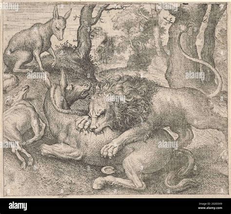 Lion Fabel and the Fox. A lion devours a donkey. Next to the donkey is a dead goat. A fox looks ...