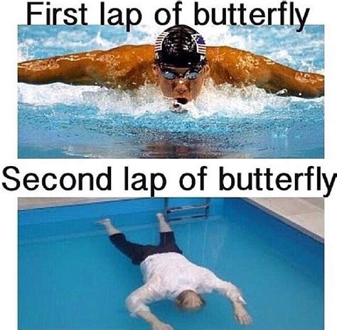 Story of my life. | Swimming funny, Swimming memes, Swimming jokes