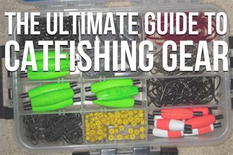 Catfish Tackle: The Ultimate Guide To Catfishing Gear