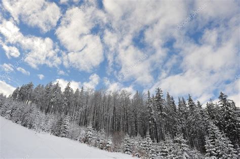 Snowy forests in the hills — Stock Photo © wwwDZUPINcom #91357170