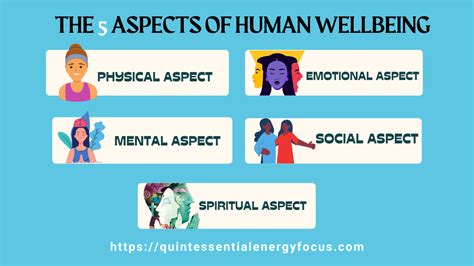 The 5 aspects of human wellbeing – Quintessential-Energy-Focus