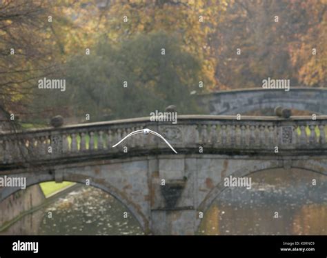 Clare College Bridge Cambridge Stock Photo - Alamy