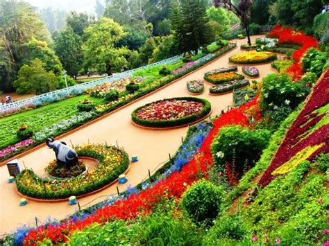 Top Tourist Places in Ooty, Tamil Nadu - Best Tour Locations