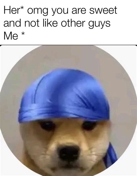 Ya’ll dogs with durag : r/meme