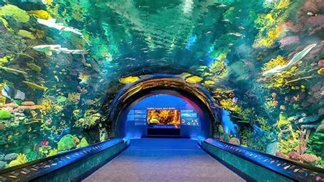 How to Get to Coney Island Aquarium: Your Ultimate Guide to Navigating to the Best Attraction