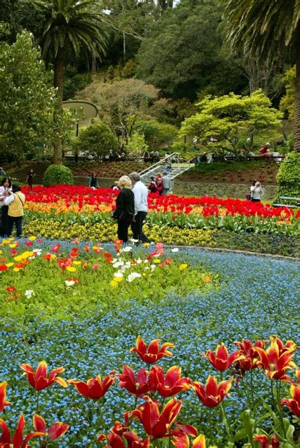 Wellington Botanic Garden