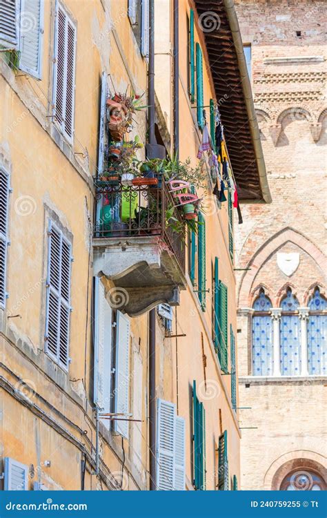 Balcony with Many Green Plants Stock Image - Image of flats, calm ...