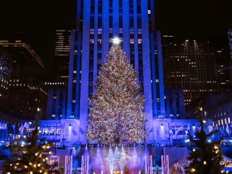 Lighting Of Rockefeller Tree 2024 - Tarah Melina