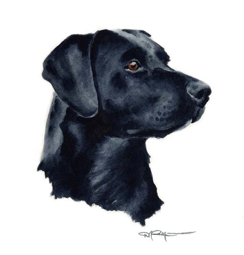 Black Lab Art Print by Watercolor Artist DJ Rogers - Etsy