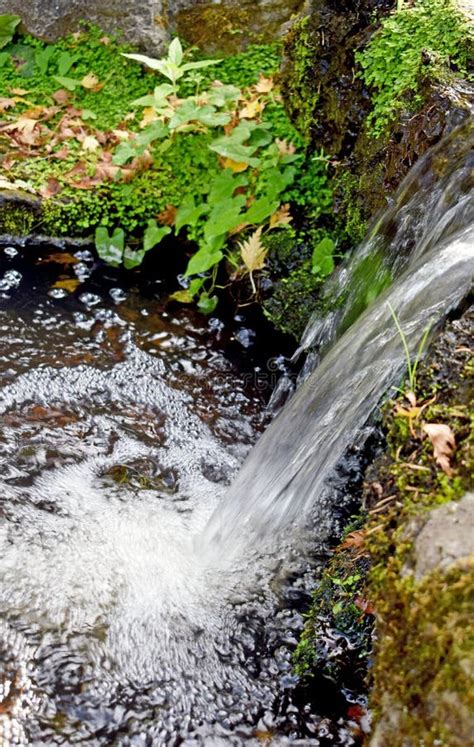 A Close Up of a Clear Waterfall. Stock Photo - Image of close, waterful ...