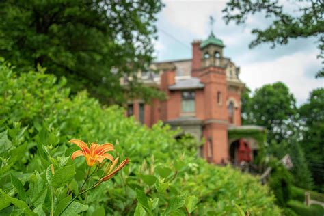 Harry Packer Mansion and a Lily Photograph by Desha - Fine Art America