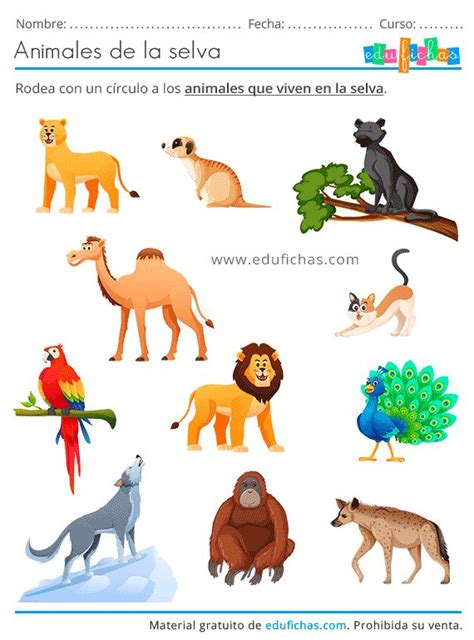 Animales de la Selva para Niños - Fichas, Fotos y Recortables GRATIS | Animals, Sea life, Art