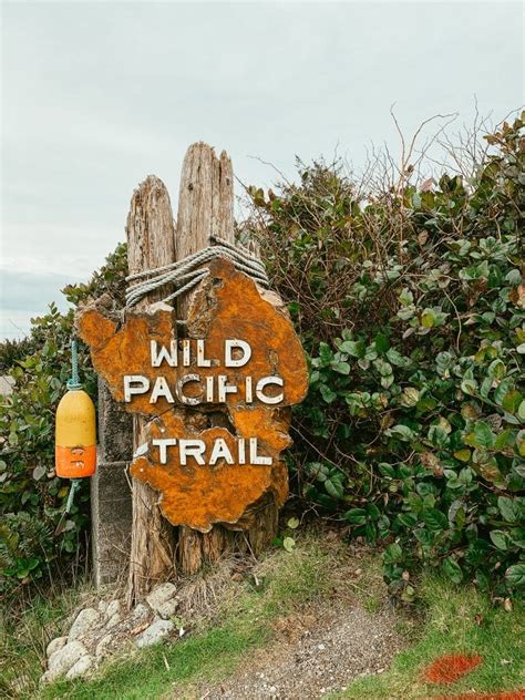 17 Best Tofino Hiking Trails: A Hiker's Guide to Tofino, Ucluelet and Pacific Rim National Park