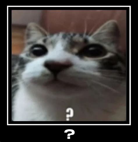 ? Cat | Emoji Demotivationals | Know Your Meme