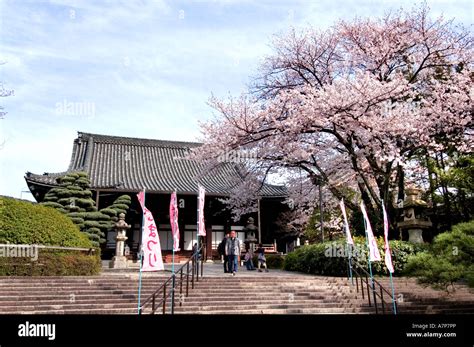 Meiji Shrine Jingu Inner garden Tokyo Emperor Stock Photo - Alamy