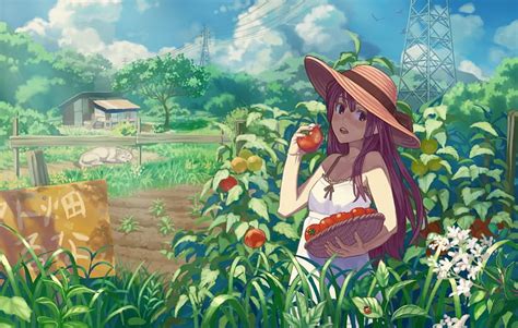 Discover more than 84 rice farmer anime latest - in.cdgdbentre