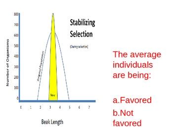 EVOLUTION: Selection graphs POWERPOINT (disruptive, direction, stabilizing)