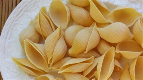 Conchiglie, Conchigliette, Conchiglioni. – The Pasta Project