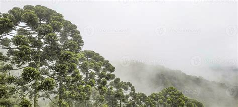 view of the mountains of minas Gerais Brazil 23283704 Stock Photo at ...