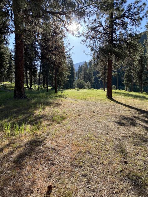 Early afternoon camping in Idaho. Love this time of year! : r/Outdoors