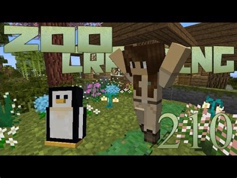 A Penguin Named Seri! 🐘 Zoo Crafting: Episode #210 [Zoocast] - YouTube