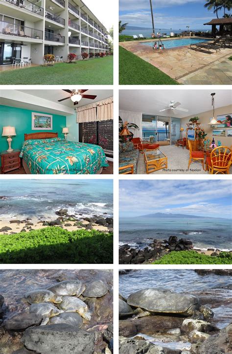 Noelani Condominium Resort - Condo Rentals in Lahaina, Maui