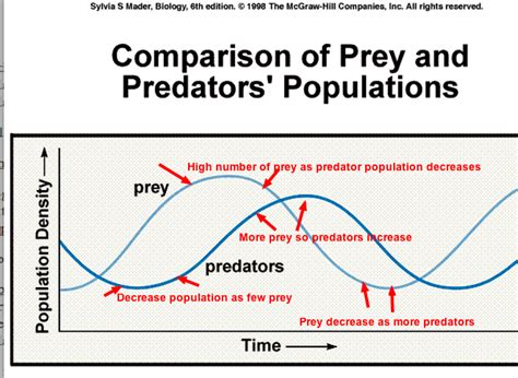 Predator / Prey Relationships - Tropical Rain forest: Congo (Africa)