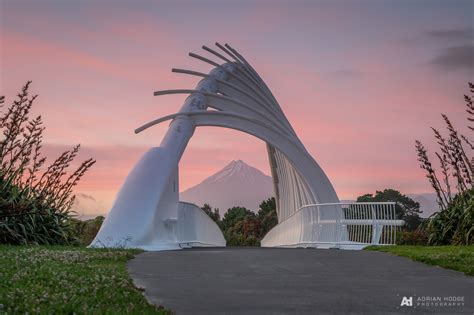 Te Rewa Rewa Bridge - Adrian Hodge Photography