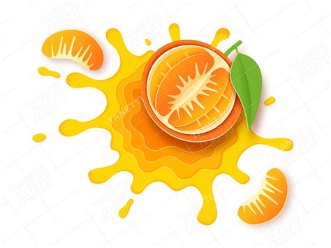 Tangerine. Vector illustration by Tanetti Art on Dribbble