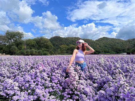 Hokkaido Flower Park Khao Yai: Colourful Gardens With Mountain Views