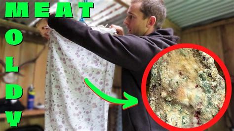 MOLDY MEAT! (30 day shed hung venison! EDIBLE? ) - YouTube