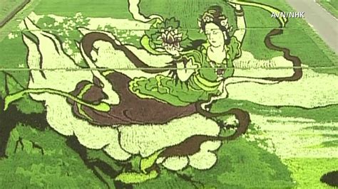 This Japanese rice-field art is like nothing you’ve ever seen