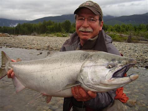 Skeena river fishing guides for Salmon & Steelhead: Salmon fishing guides