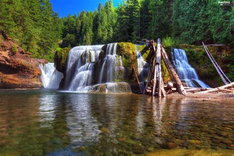 forest, River, state, united, waterfall - Beautiful views wallpapers: 2048x1367