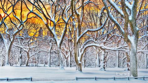 Bing Winter Wallpapers - Top Free Bing Winter Backgrounds - WallpaperAccess