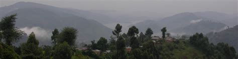 Bwindi Impenetrable National Park - Wikitravel