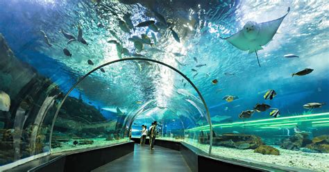 Manila Ocean Park Attractions