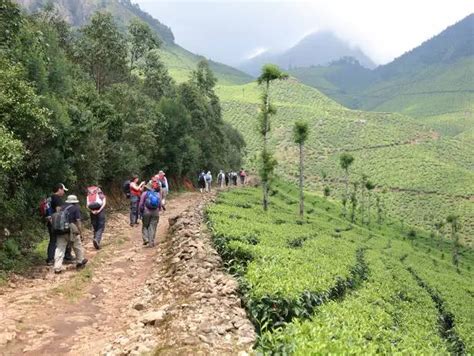 Touring Cardamom Hills–The Pride of Kerala