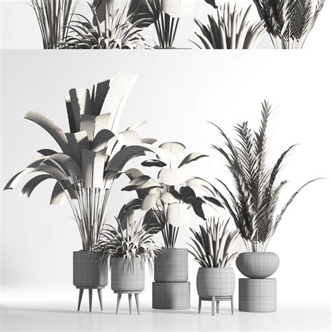 Indoor Plant Set05 - 3D Model for VRay, Corona