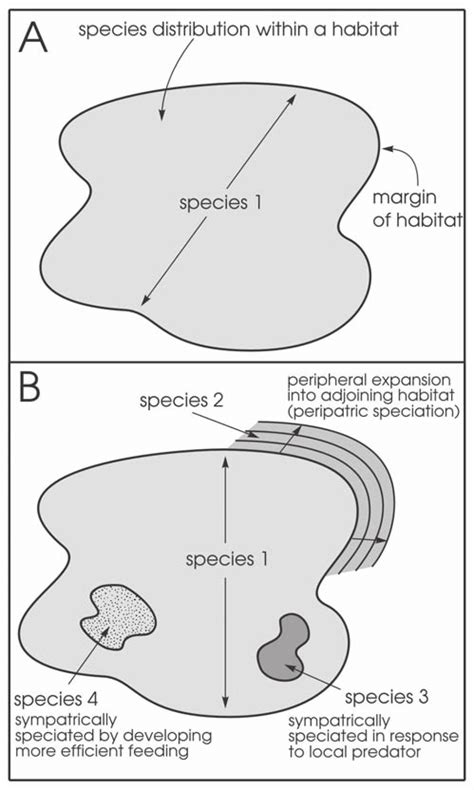 Peripatric and sympatric speciation leading to development of three ...