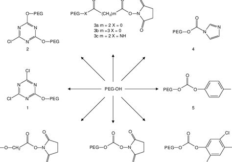 Method for the activation of poly(ethylene glycol) [PEG] molecules ...