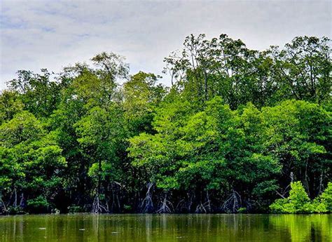 Nature & Wildlife – Brunei Tourism