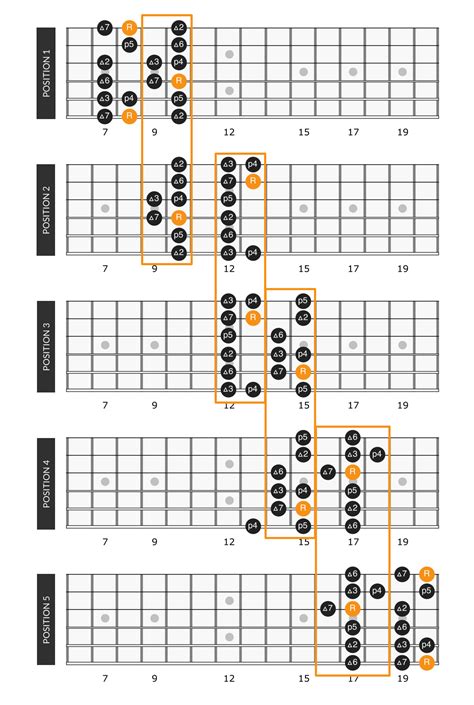 C Major Scale on Guitar: Positions & Theory | Major scale, Guitar ...